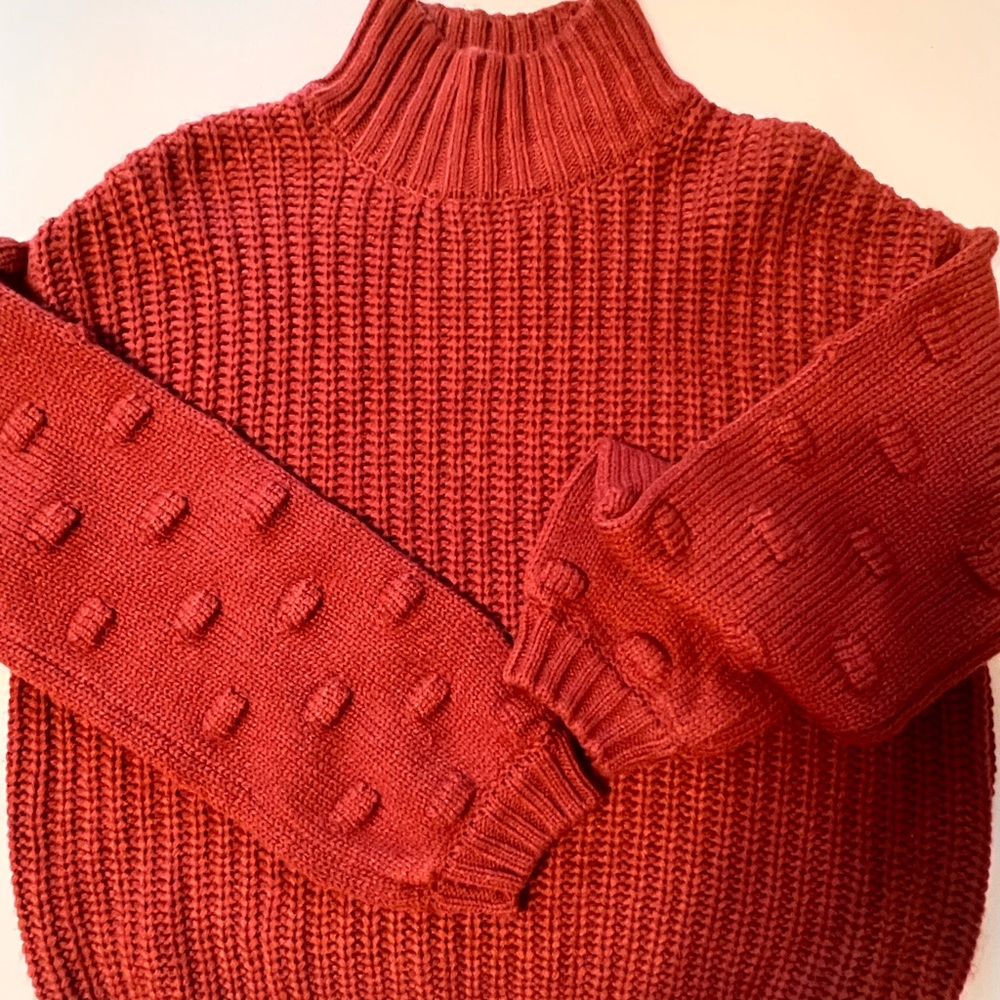 Moon & Madison Autumn Brown Red Cropped Sweater Sz S/M Girl Woman Mock Neck